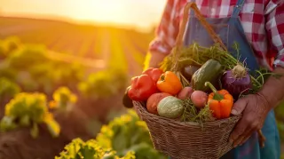 End of Summer Nutrition Ideas: Nourish Your Body as Seasons Change