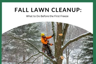 Fall Lawn Cleanup: What to Do Before the First Freeze