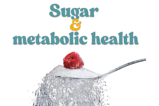 Sugar’s Metabolic Toll: Insulin Resistance and Mitochondrial Health