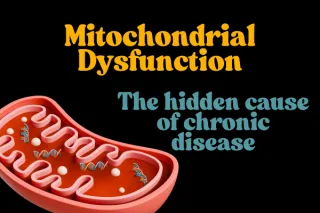 Mitochondrial Dysfunction: The Overlooked Root of Chronic Disease