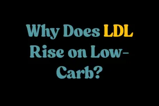 The Lipid Energy Model: Cholesterol on Low-Carb Diets