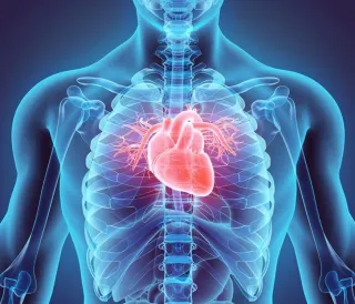 Boca Raton Residents: If You Snore, You Could Be at Risk for a Heart Attack – Get Screened for Sleep Apnea Today!