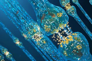 The Mycotoxin - MS Connection: Exploring the Environmental Drivers of Demyelinating Disease