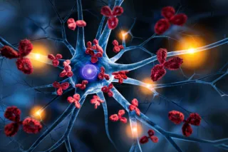 Autoimmunity and Mold Toxicity: The Hidden Trigger Behind Chronic Illness