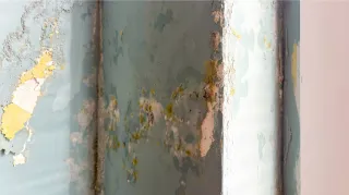 Chaetomium & CIRS: 2-Phase Mold Eradication That Works