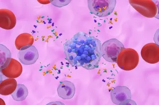 Estrogen & Histamine: The Hidden Hormone Connection
