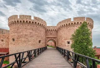 Biofilms: The Fortresses Microbes Build
