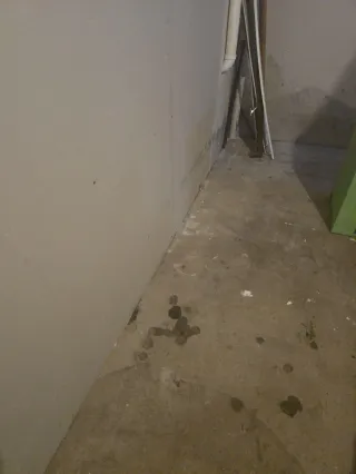 Mold Mitigation