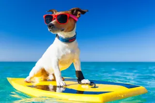 The Day AI Passed the Vibe Check—And Left Us in Emotional Detention