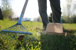 How to Use a Landscape Rake for Yard Maintenance?