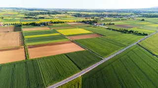 Đề xuất điều chỉnh mức thu tiền chuyển đổi đất nông nghiệp sang thổ cư