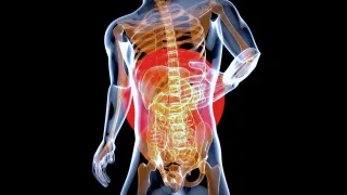 Is My Back Pain Muscle Pain or Disc Pain?