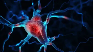 How to Reduce Neuropathy from Chemo Naturally?
