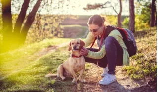 Stop the Fleas and Ticks