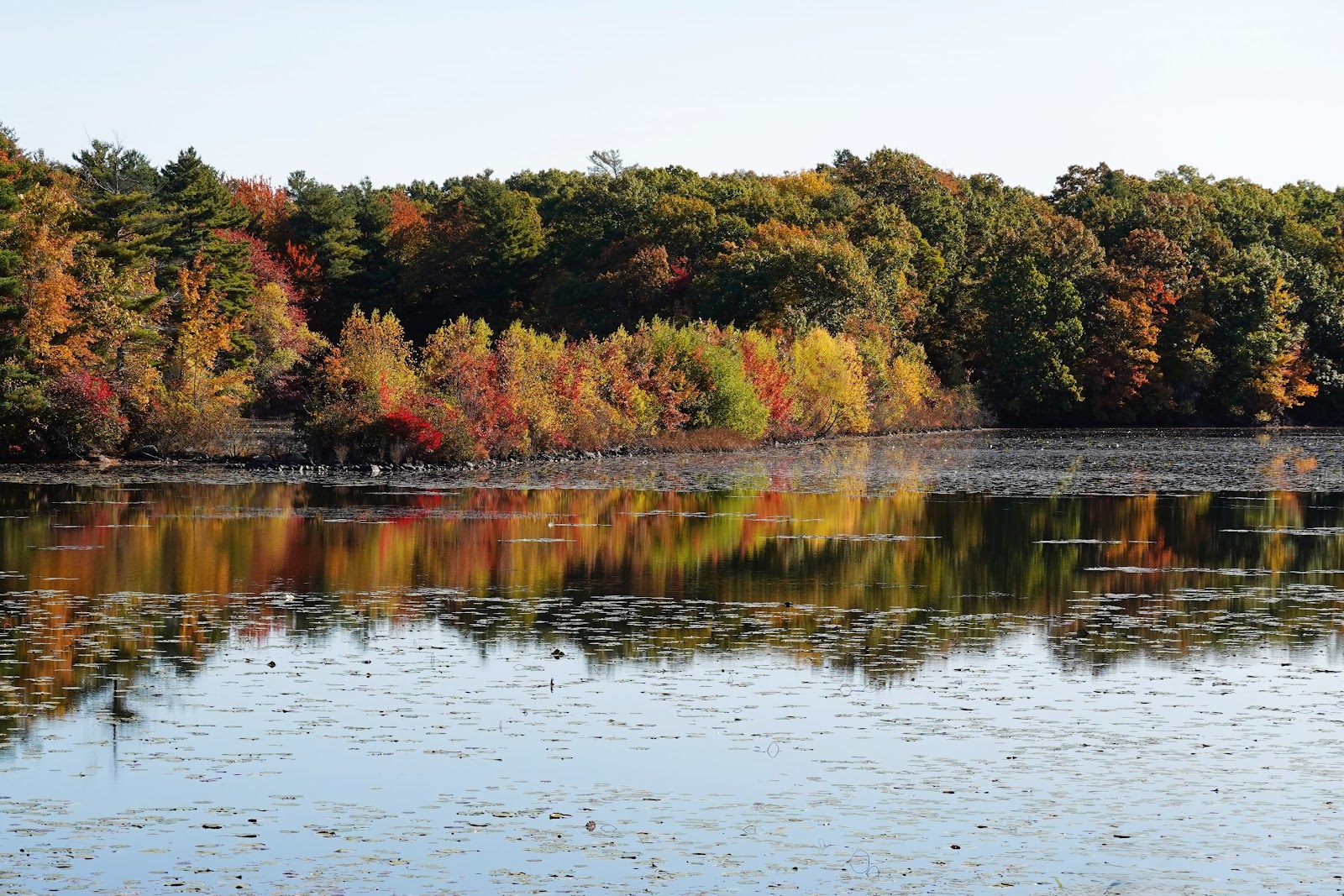 🚗Best Day Trips from Brockton: Scenic Drives Around Southeastern Massachusetts | Flexride Car Rental, Brockton, MA