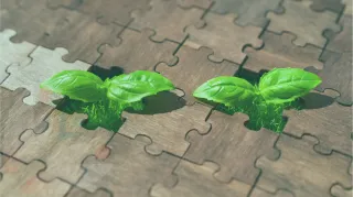 Creating lasting impact through responsible business