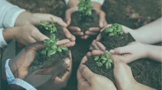 Responsible Business: Smart Strategy for Growth