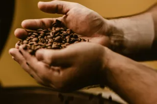 What’s the Human Cost of Your Morning Coffee?
