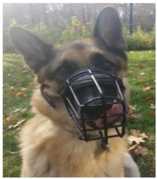 Muzzles