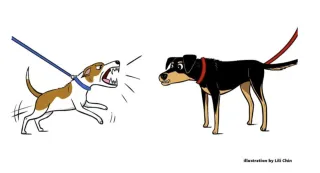 Reactive VS. Aggressive