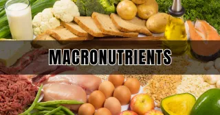 Mastering Macronutrients: The Key to Unlocking Your Fitness Potential with Chalk Training