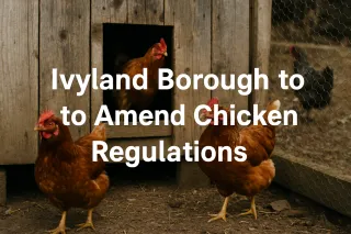 Ivyland Borough to Amend Chicken Regulations