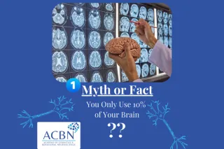Brain Myths Busted: 5 Things You Thought Were True (But Aren’t!)