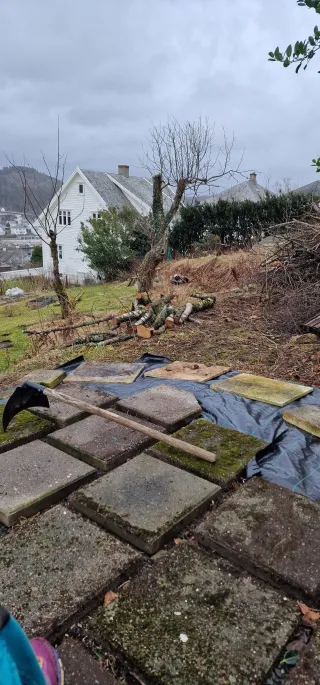 Vårkriblingen: Hvordan holde beina på jorda når ideene blomstrer