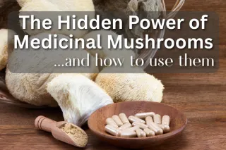 The Hidden Power of Medicinal Mushrooms