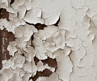 Paint Peeling or Cracking? What It’s Telling You About Your Home