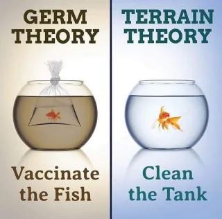 Viruses’ – friend or foe
