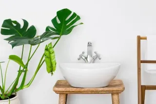 Cleaning Naturally
