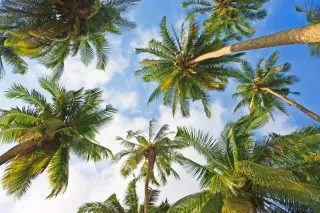 Serving Remote Communities: How Carver Water Technology Restored Critical Water Infrastructure to South Andros, Bahamas