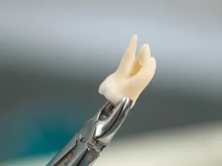 FAQ image