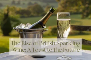 The Rise of British Sparkling Wine: A Toast to the Future