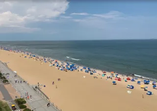 🌊 Virginia Beach Boardwalk and Beyond: Best Stops Accessible by Rental Car — Coastal Moves Rentals, Hampton Roads, VA