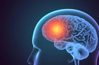 Addiction and the Reward Pathway in the Brain
