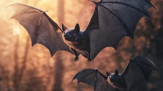 Spring Wildlife and Your Home: Coexistence and Control