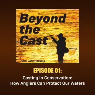 Casting in Conservation: How Anglers Can Protect Our Waters
