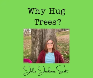 What Does Tree Hugging Have to Do With My Niche? - Creative Life Midwife