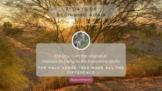 The Morning I Woke Up at Home Again After I Visited the Palo Verde Tree - Creative Life Midwife