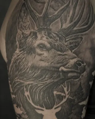 The Buck in the Mirror