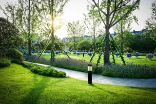 Best Practices for Installing and Maintaining Your 100% Recyclable Artificial Turf