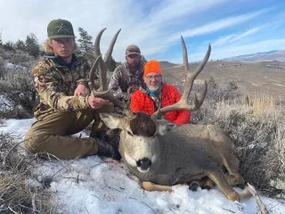 Finding Mule Deer in Colorado: A Guide for October and November