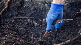 Part 2: Breaking Free from Sin  – Recognizing the Problem & Pulling Up Spiritual Roots 