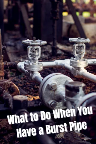 What to Do When You Have a Burst Pipe