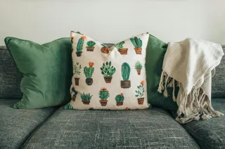 Choosing the Right Palette to Transform Your Living Space
