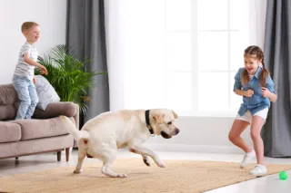 Fun Indoor Fitness Activities for Kids
