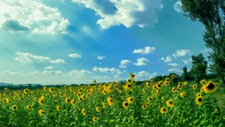 Summer Reset: Refresh Your Health, Habits & Life