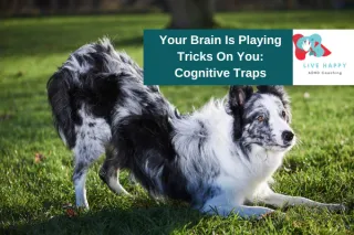 Your Brain Is Playing Tricks On You: 13 Cognitive Traps